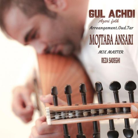 دانلود آهنگ جدید مجتبی انصاری با عنوان Gulachdi